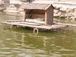 PICT0073
