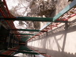 PICT0077