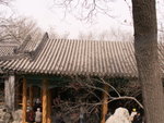 PICT0082