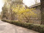 PICT0168