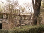 PICT0169