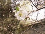 PICT0172