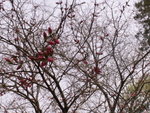 PICT0174