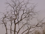 PICT0181