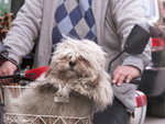 PICT0185
