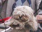PICT0187