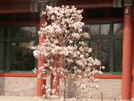 PICT0197