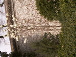 PICT0202