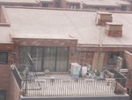 PICT0216