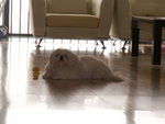 PICT0221