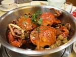 PICT0240