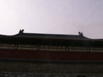 PICT0282