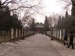 PICT0294