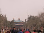 PICT0295