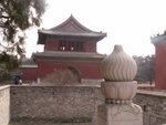 PICT0302