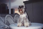 Don on table