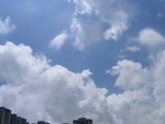PICT8609