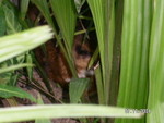 PICT5430