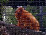 PICT5433