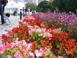 PICT5443