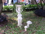 PICT5446