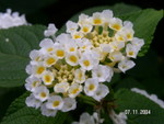 PICT5447