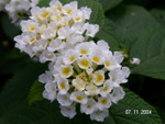 PICT5448