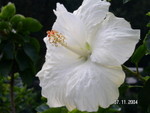 PICT5472