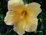 PICT5475