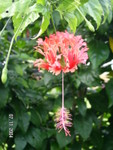 PICT5477
