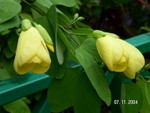 PICT5486