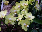 PICT5500