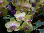 PICT5501