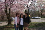 A Ho 2 (12)