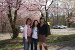A Ho 2 (13)