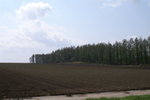 A Ho 2 (29)