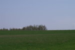 A Ho 2 (34)