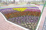 CFCARD 3PICT0002 (10)