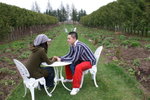 CFCARD 3PICT0002 (104)