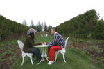 CFCARD 3PICT0002 (105)