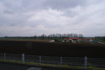 CFCARD 3PICT0002 (16)
