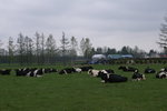 CFCARD 3PICT0002 (29)