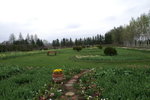 CFCARD 3PICT0002 (87)