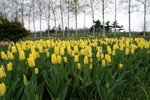 CFCARD 3PICT0002 (92)