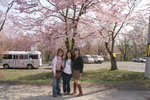 CF CARD 6PICT0001 (102)
