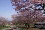 CF CARD 6PICT0001 (106)