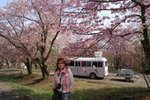 CF CARD 6PICT0001 (107)