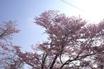 CF CARD 6PICT0001 (109)