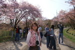 CF CARD 6PICT0001 (110)