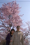 CF CARD 6PICT0001 (117)